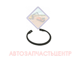 Стопорное кольцо 04065-04718