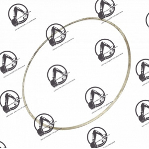 Шайба CAT 8S-6045